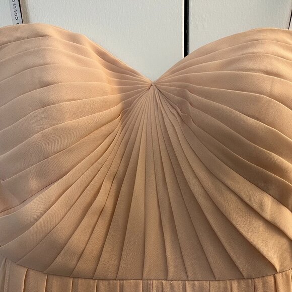 Jenny Yoo Mira Strapless Gown (Blush) - Picture 5 of 14